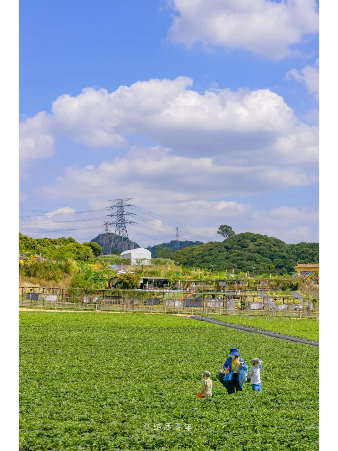 深圳拍照 | 99%的人都不知道的春游好去处