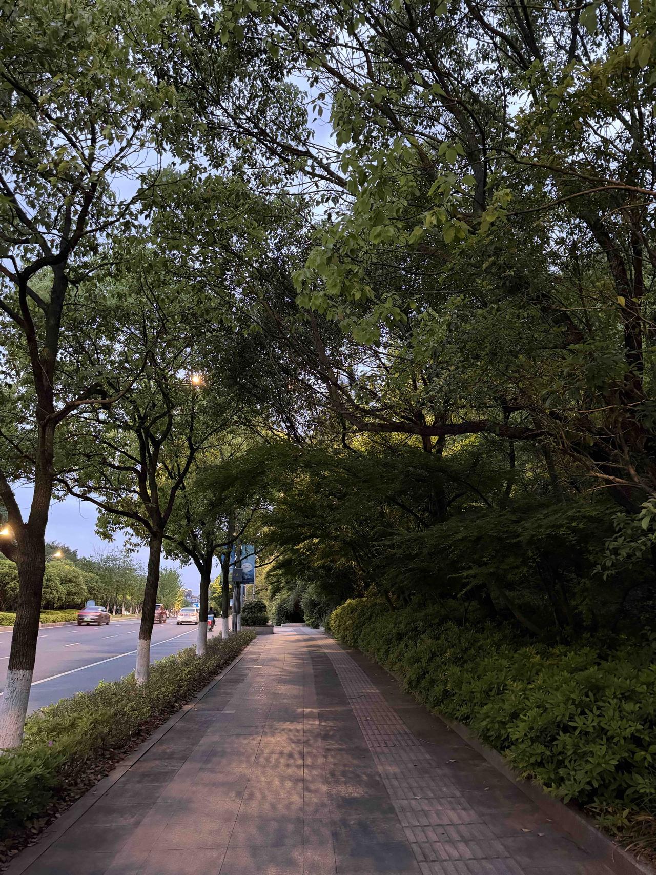 走在林荫步道，与暮色不期而遇

美好尽在生活细微处～

梦凡的世界