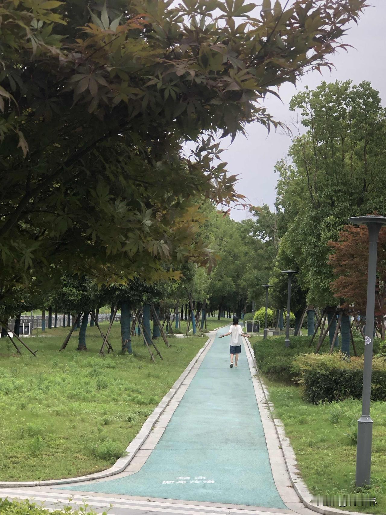 在家附近步道散步随手拍，满眼都是治愈的绿意。沿河小路干净清爽，路边绿树成荫，一丛