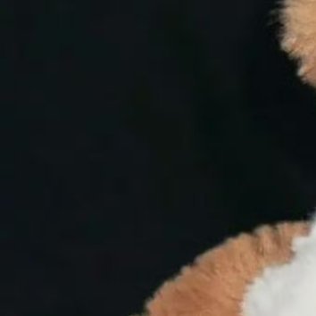 每日一善[超话] [给你小心心]每日一善 [给你小心心]阳光信用 11.5[太阳