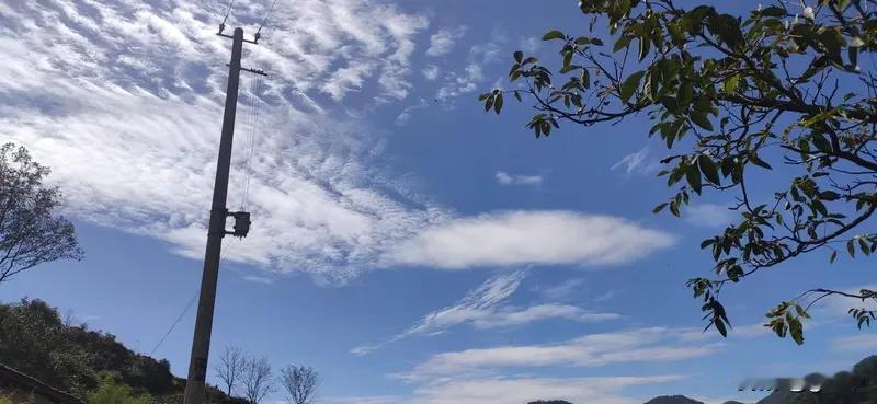 陈世美为什么死都不认秦香莲因为陈世美骨子里已经叛变了，成了汉奸，为了讨好公主，为