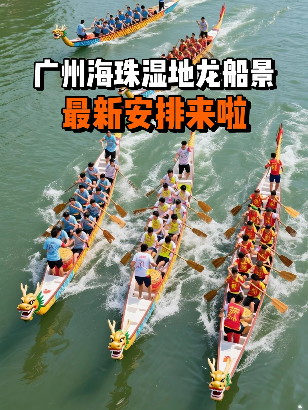 广州看龙舟！快看赛事安排表！
