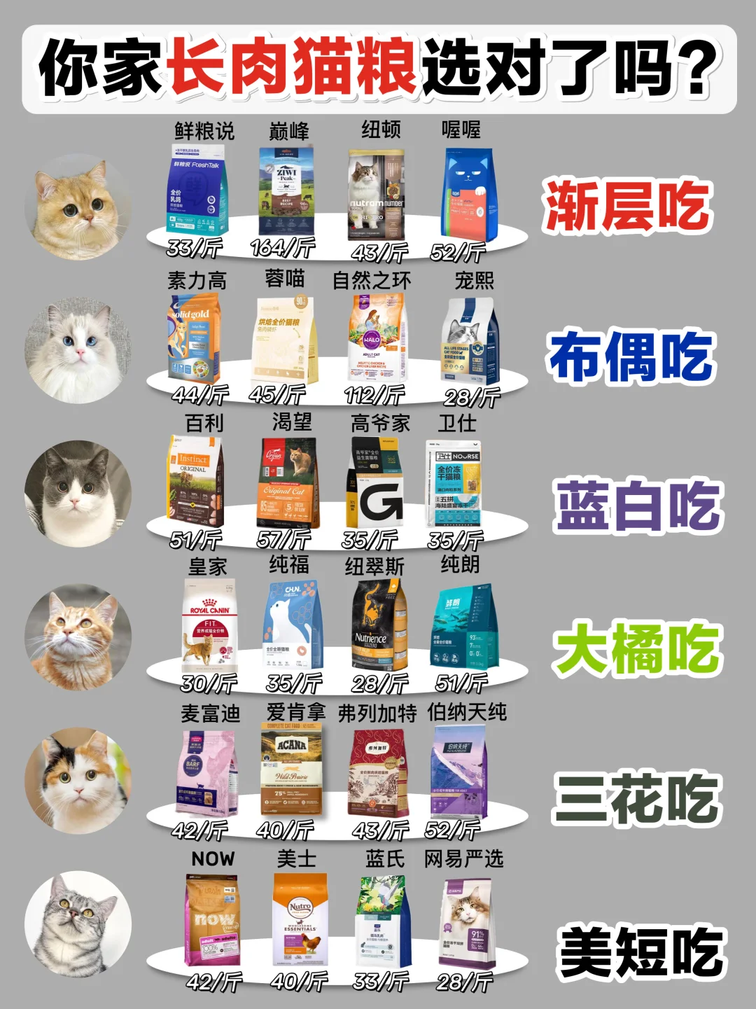 新手养猫听劝！选猫粮做好功课再入！