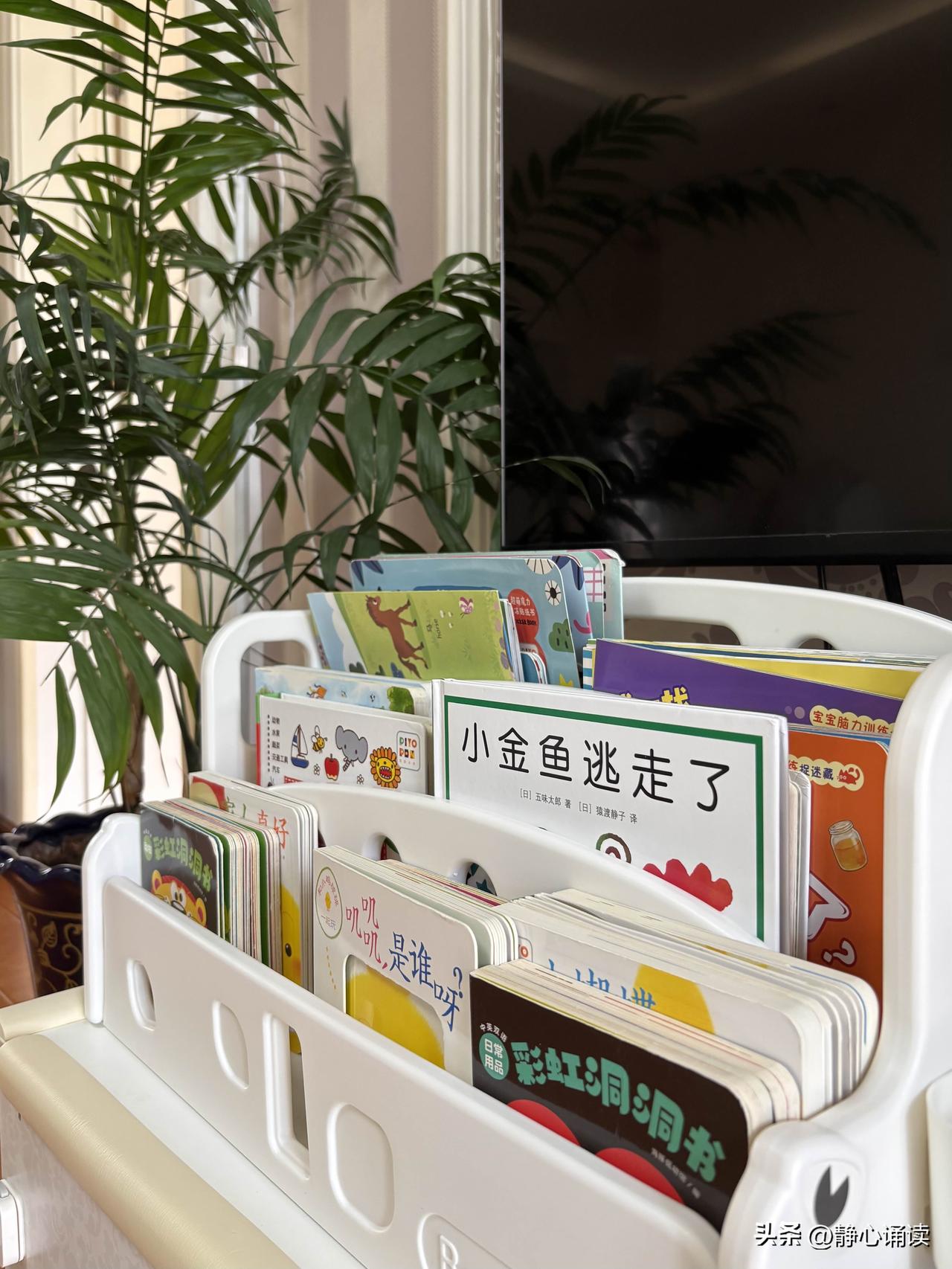 由于姥爷来得少，小孙子起初不让他抱，也不跟他玩。可姥爷疼惜外孙，总想摸摸、抱抱他