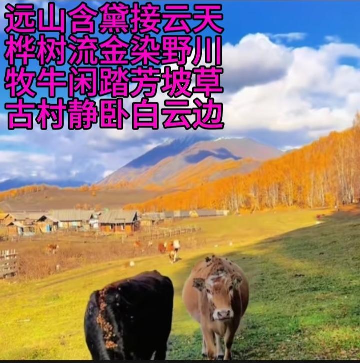 远山含黛接云天，
桦树流金染野川。
牧牛闲踏芳坡草，
古村静卧白云边。