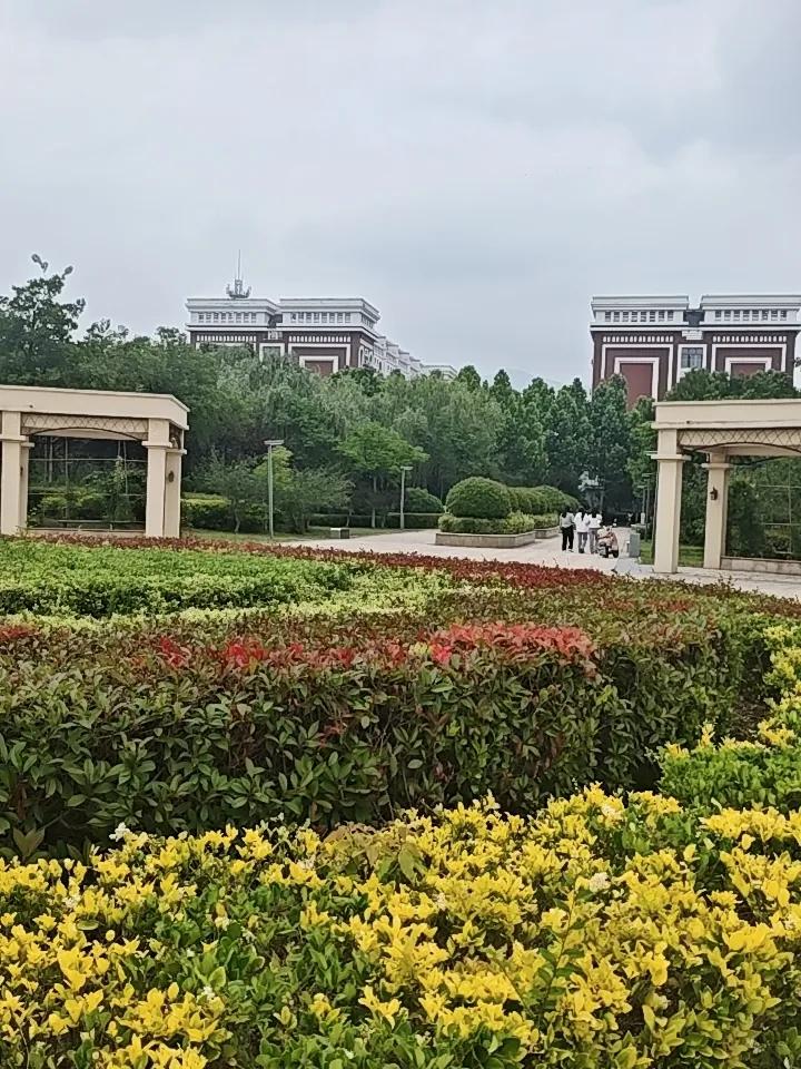 柳树成荫呐。已是一派盛夏的样子。沟渠已疏通，暴雨刚过。这里是活力四射的校园，朗朗
