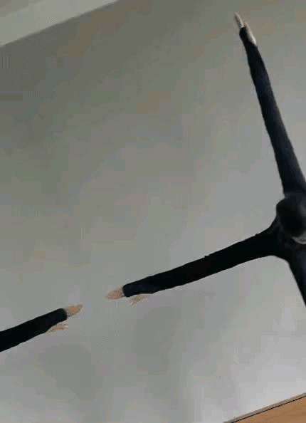 不仔细看，还真分不出手和脚