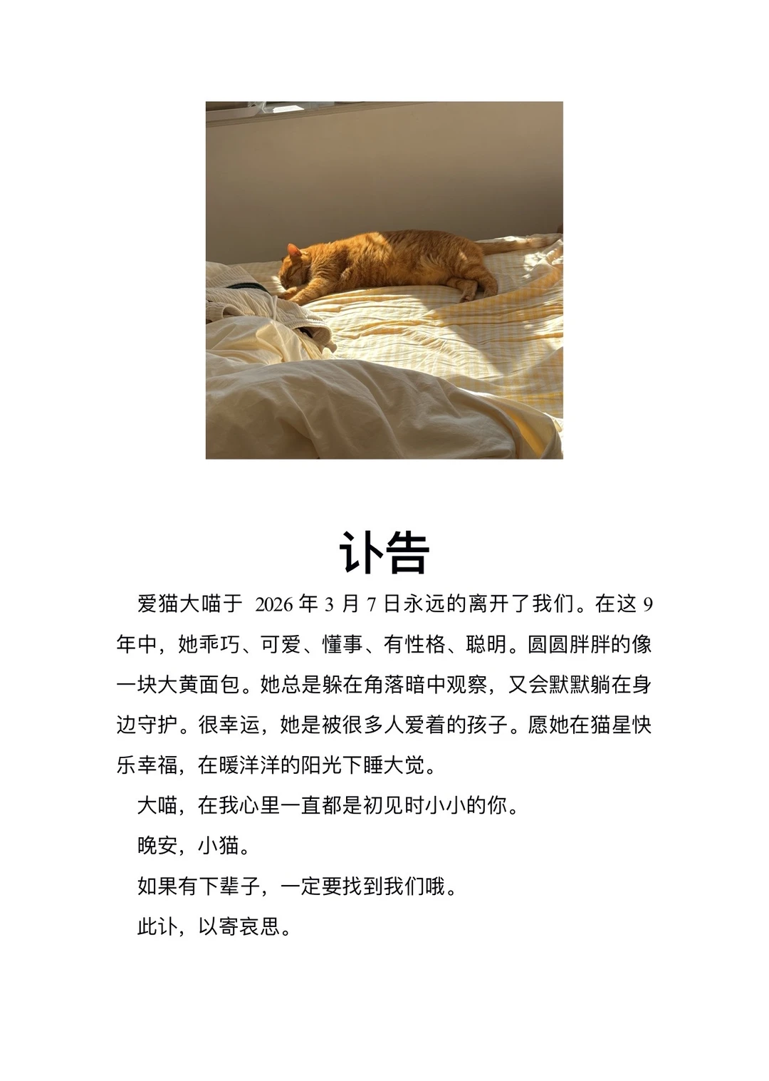 晚安，大喵🕯️