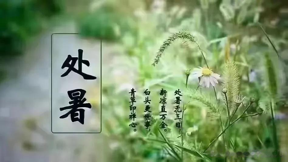 有一种咳嗽叫“入秋咳”，季节交替，稍不留神孩子就会咳嗽。
二十四节气之处暑 ，节