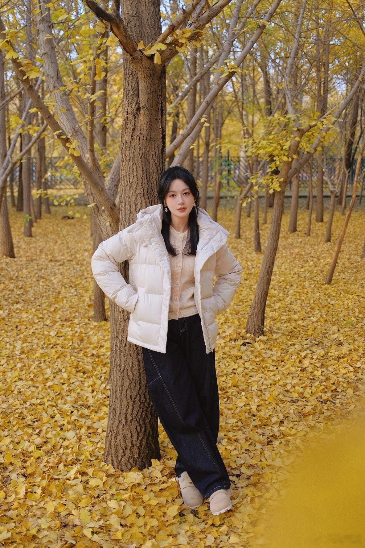 北京的浪漫秋季🧩