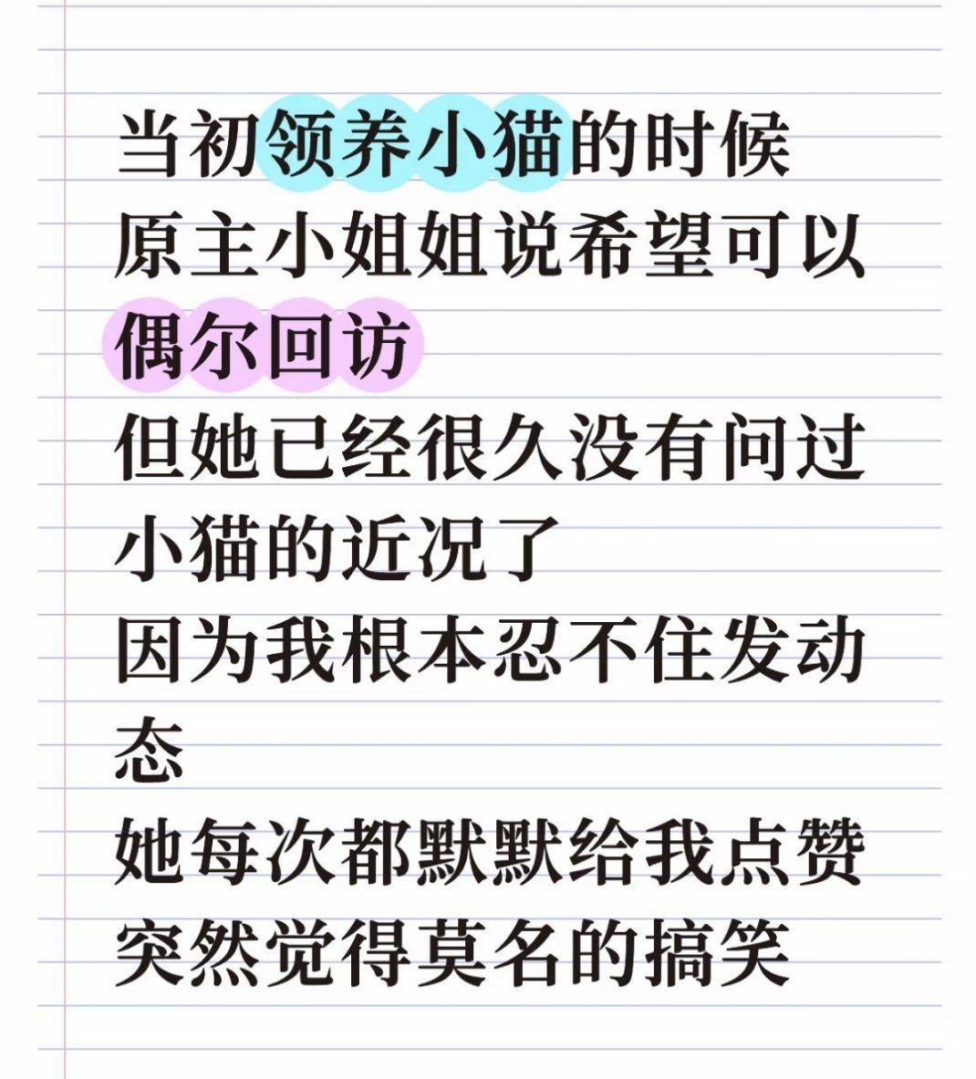 我的猫咪原主人是朋友的朋友，送给我以后，期间朋友组织聚会，我俩都不怎么说话，也不