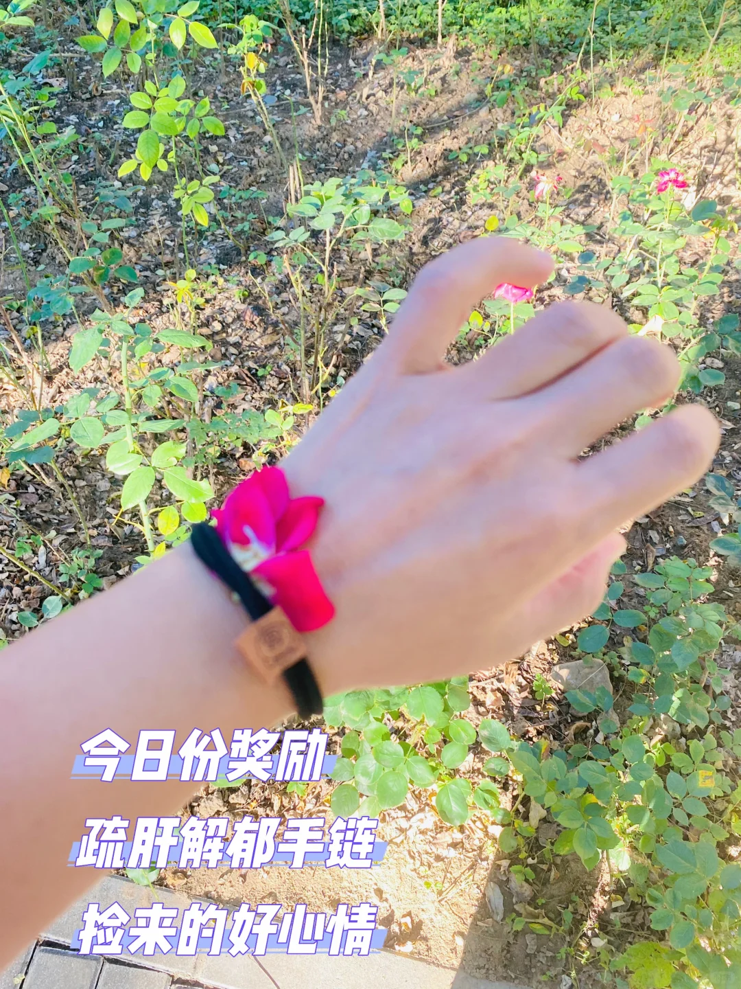 祝咱妈生日快乐🎂赶紧含块人参片该我上场了