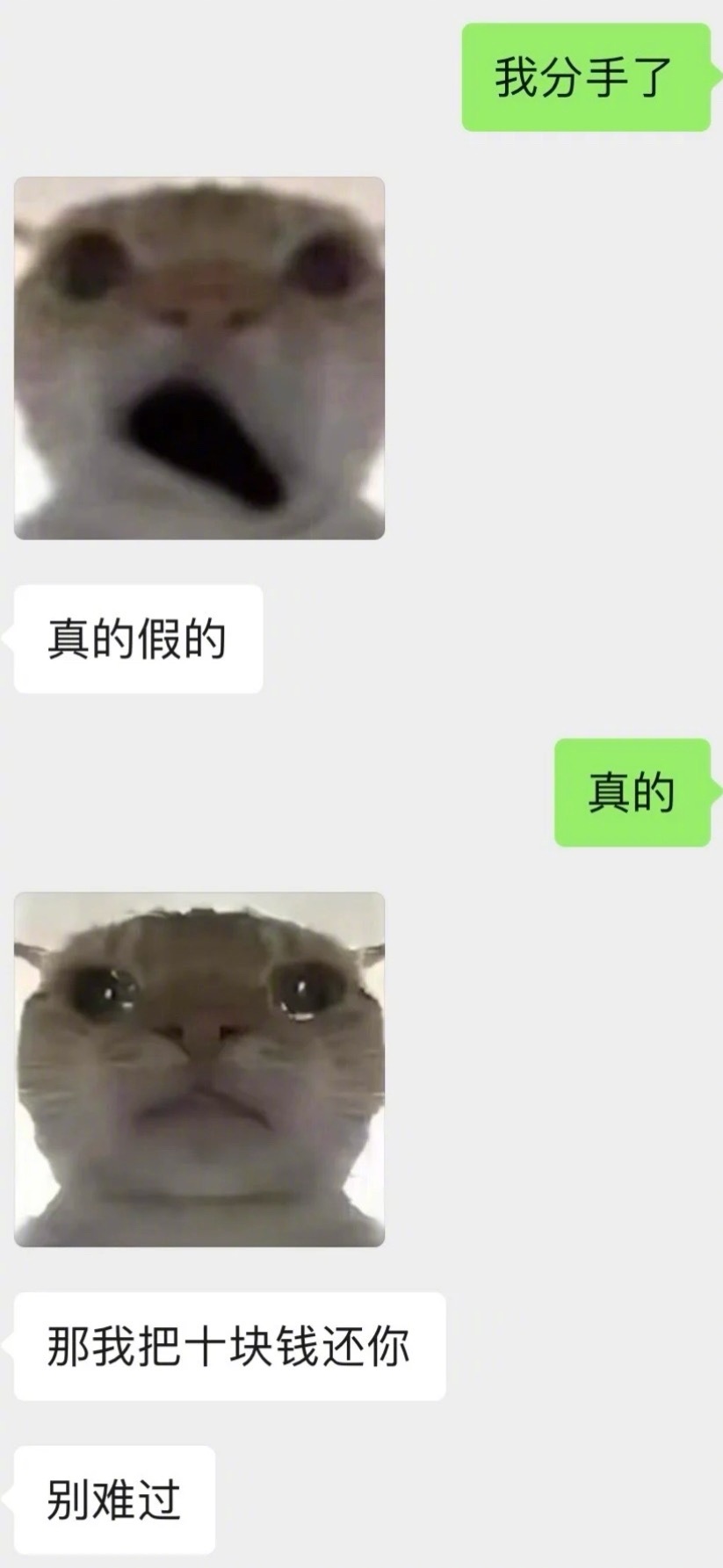 当我分手了跟弟弟说 ​​​
