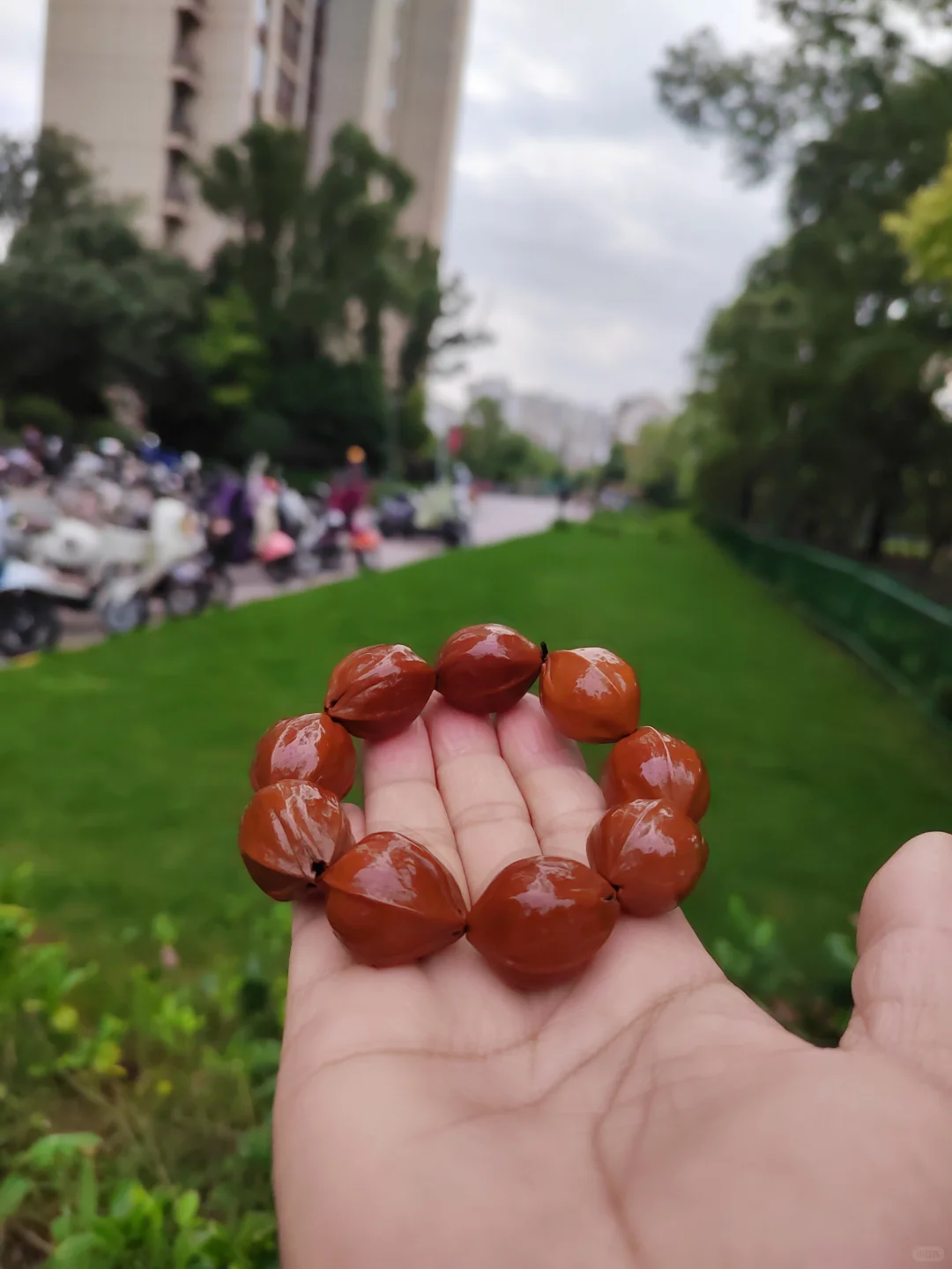 蝶姐铁核 包浆玉化 梅林铁核 橄榄核 生活记录 文玩手串 文玩女孩