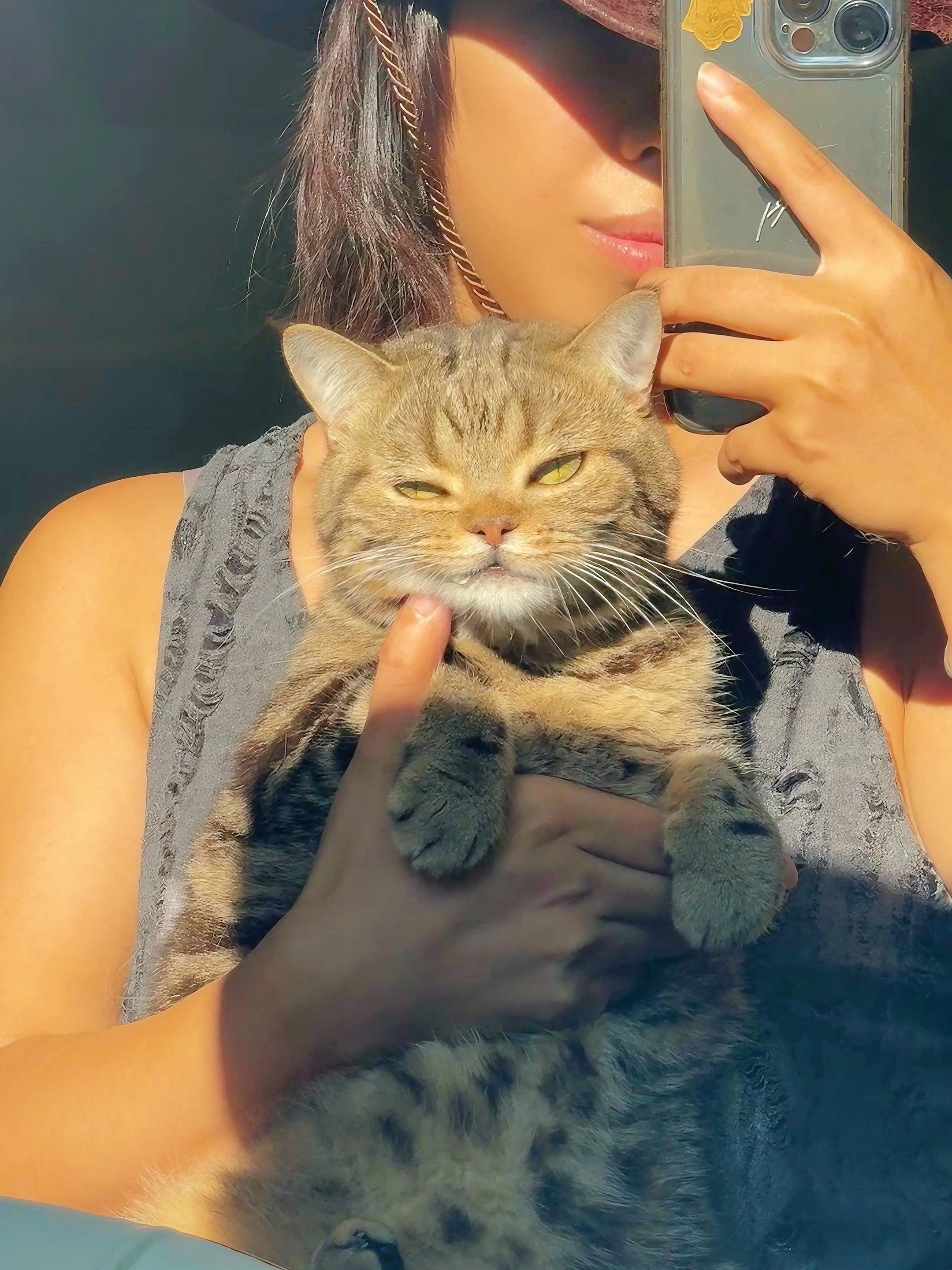 怎么会这么配合拍照的猫猫啊。我真的太爱了