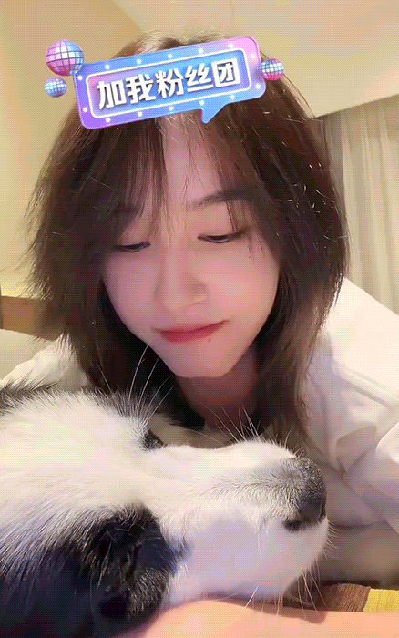 歪宝  贴贴૮₍ っ ̫-₎ა 