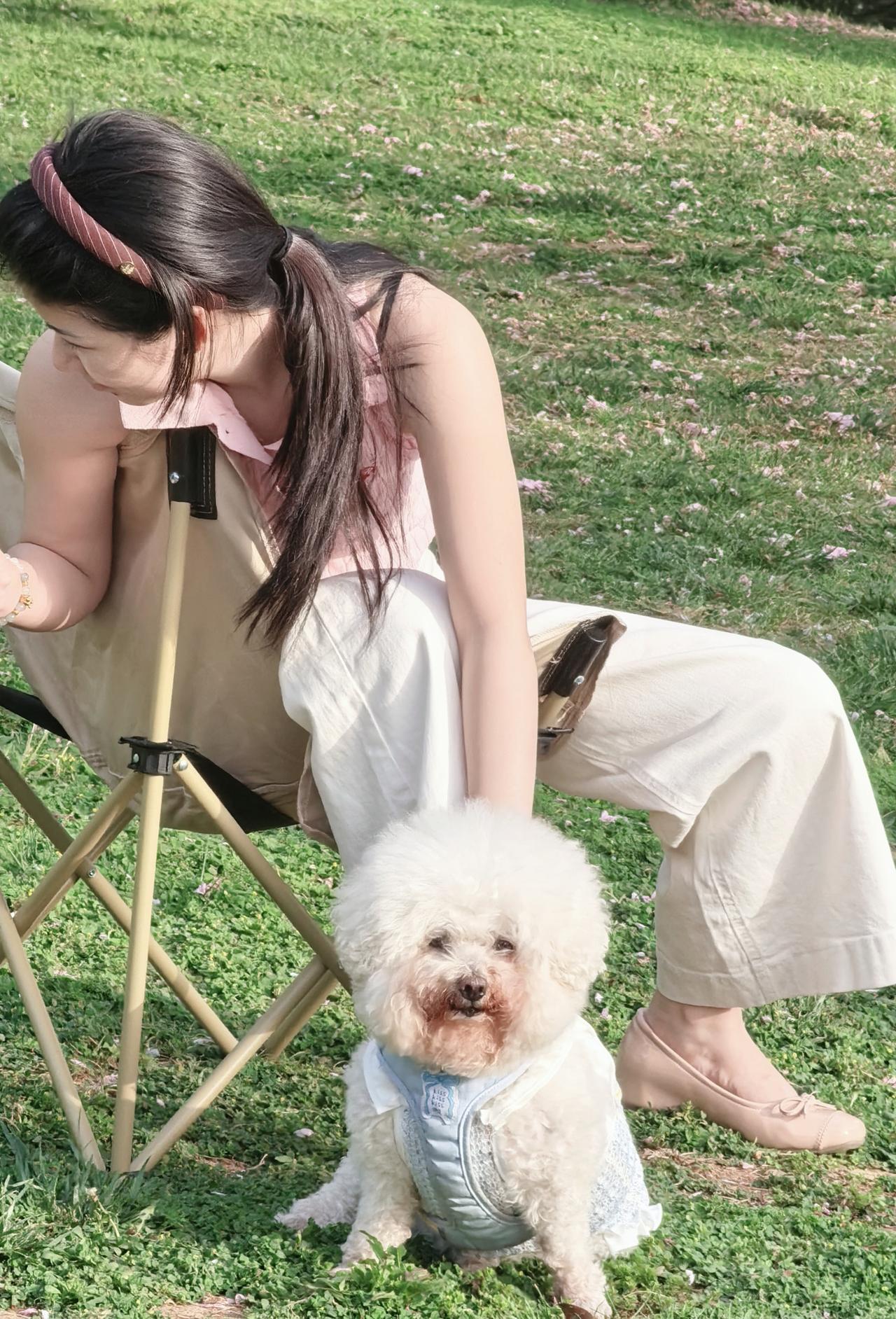 你看，幸福其实很简单，一片草地，一把椅子，一只愿意陪你发呆的小狗，还有满身都是春