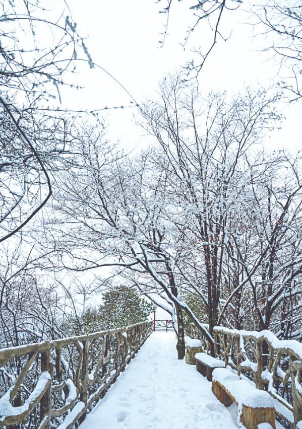 【达城新年首雪刷屏朋友圈】恰逢大寒节气，寒潮携雪而至，达城迎来2026年首场降雪