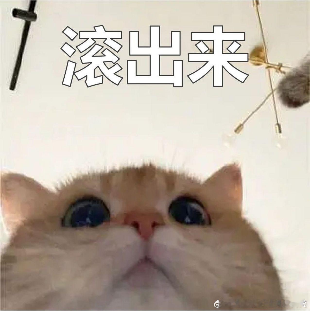 9岁男孩偷偷给爷爷带肉当地已介入说好的，不让一个家庭因病返贫，河南省周口市民政局