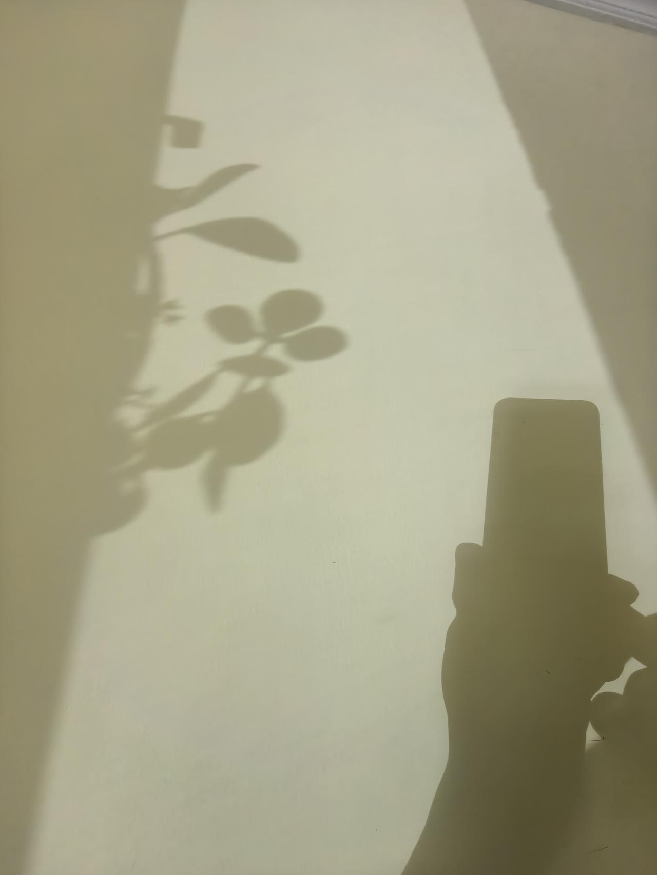 香烟有保质期吗？一包烟放两年了，还能抽吗

香烟其实是有保质期的，存放两年的烟，