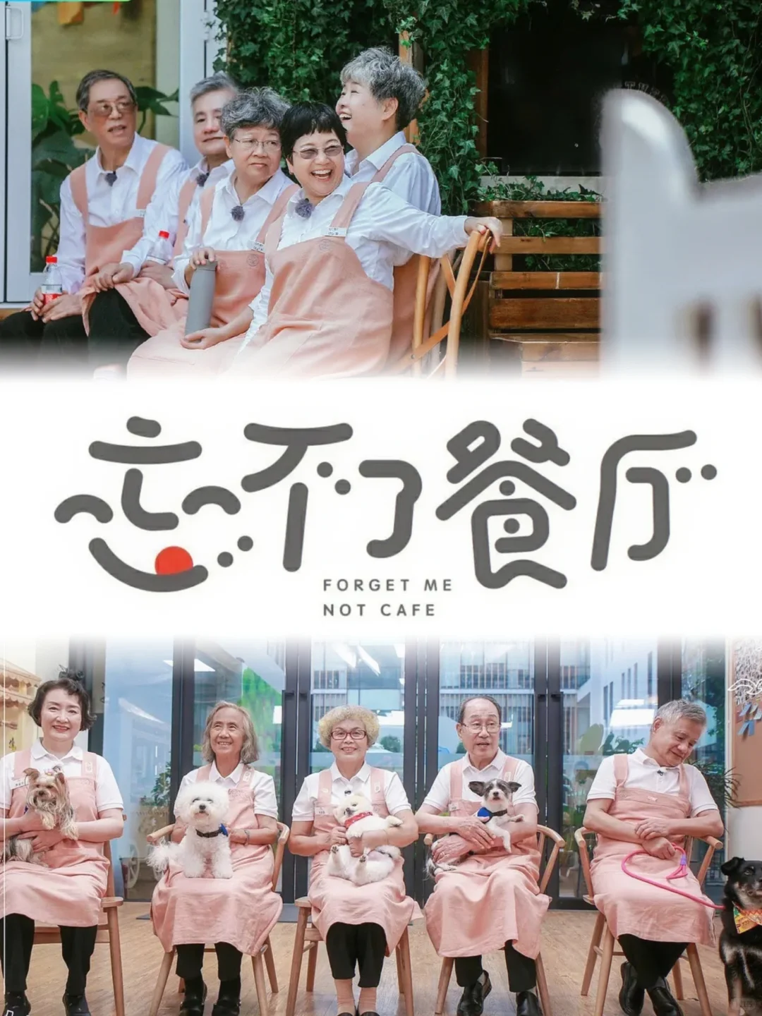 ⚠️爆哭预警⚠️宝藏综艺《忘不了餐厅》❕