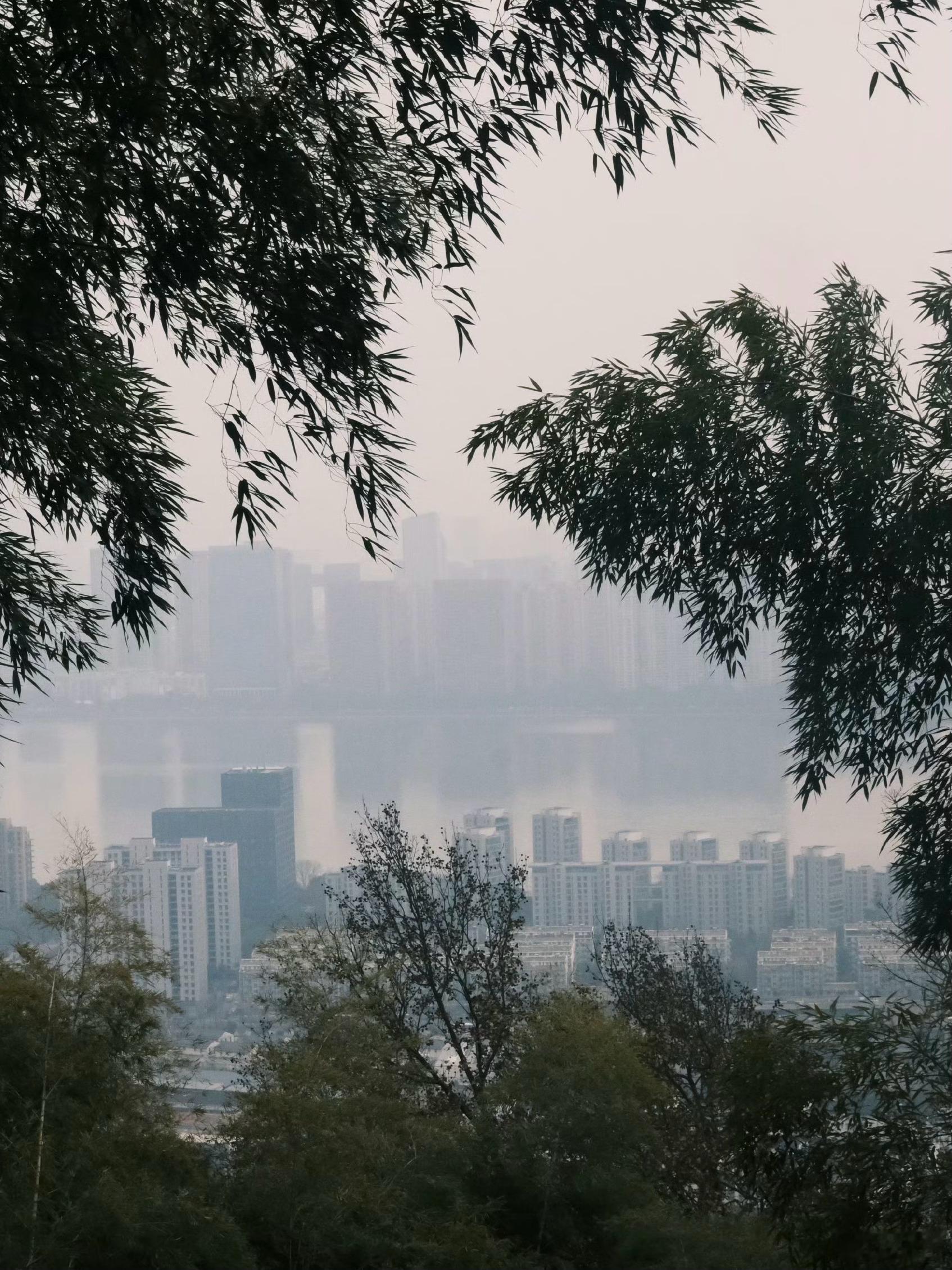 一个人长期忽略性生活，基本等于在回避关系本身而且我发现了，很多人不是不需要，而是