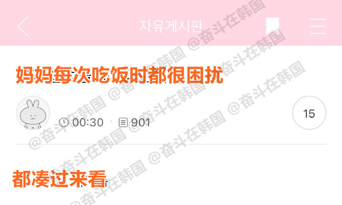 猫狗双全的人吃饭时的困扰 海外新鲜事 ​​​热点现场 ​​​