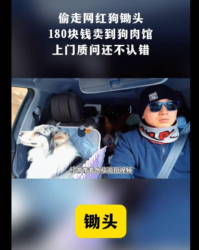 男子拐走网红边牧180元转卖宰杀    这么巧吗，两小时前刚在DY上看到了推荐的