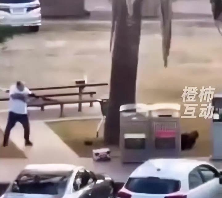 澳大利亚海滩发生枪击案，已经有12人死亡，现场枪声好像鞭炮一样密集，人群惊慌失措