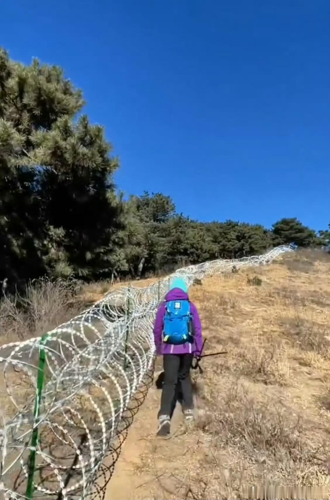 泰山被135公里刀片网围起来，反映的是一种治理社会的思维。抽烟每年导致很多人肺癌