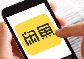 闲鱼公布调查结果他们自查后说平台公开信息里没发现那些乱七八糟的东西，网上传的截图