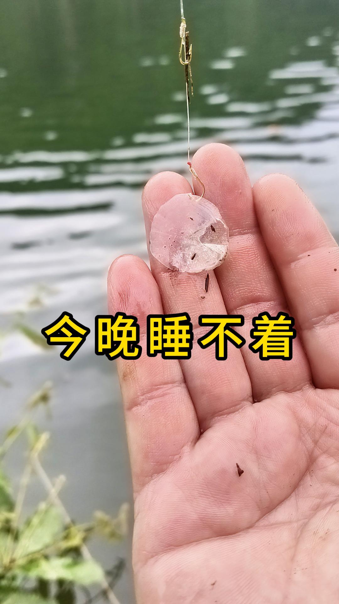 唉~今晚睡不着！户外