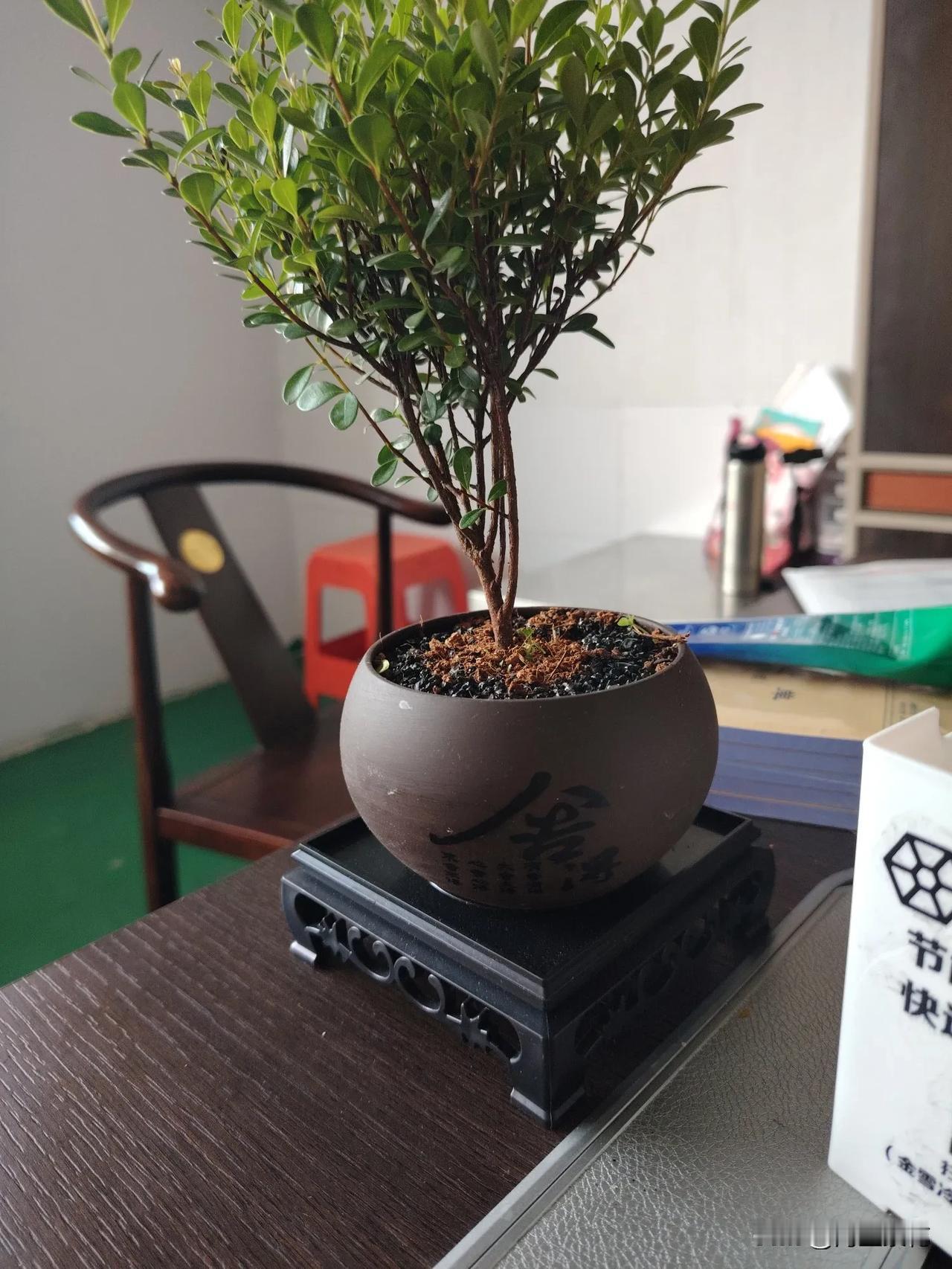 有人觉得，人老了，什么都不值钱了，身体健康最重要，什么吃喝玩乐都是浮云！
有人觉