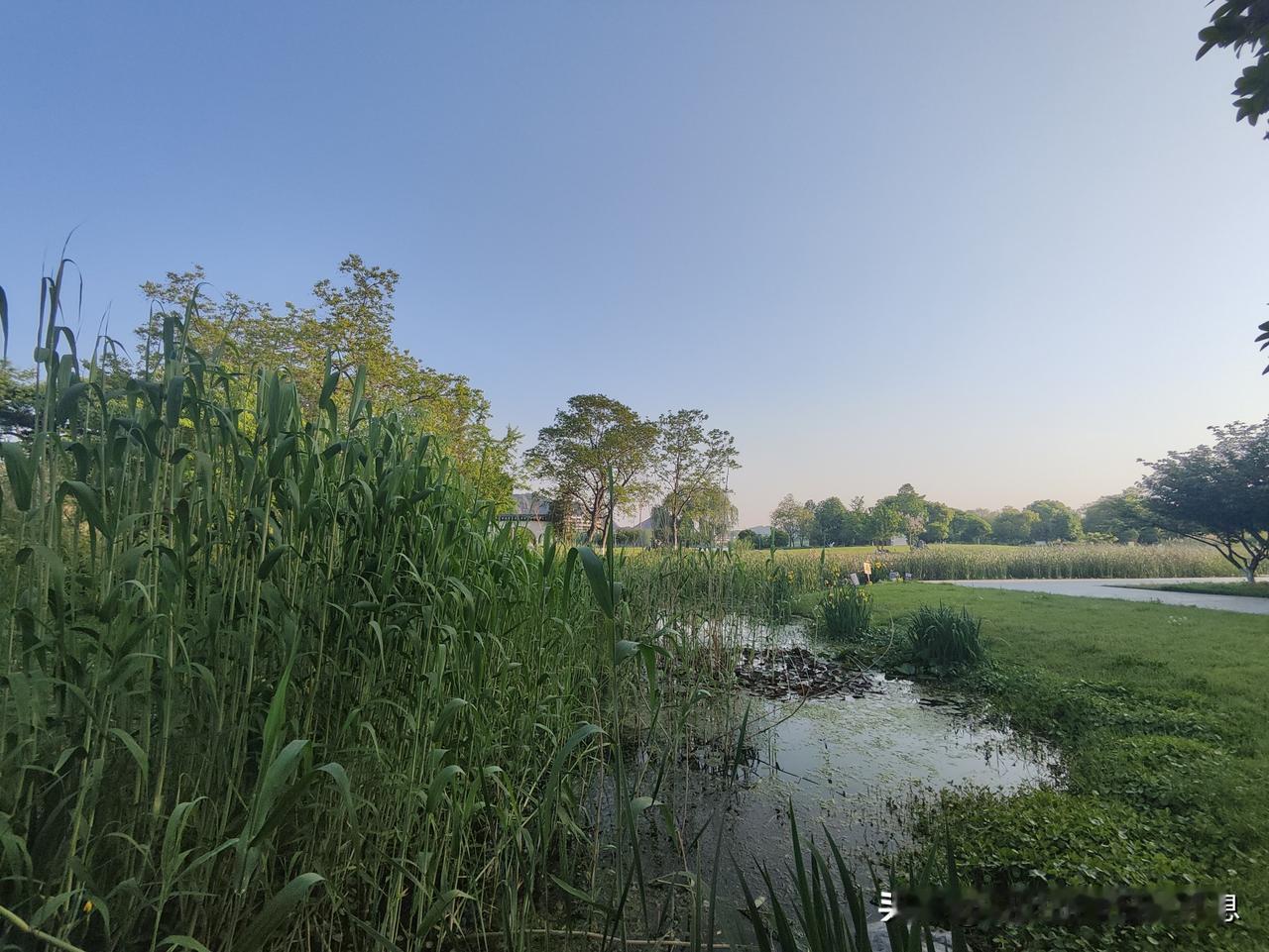 周末的公园
非常多人
好玩
风景不错哦
太赞了公园里拍的花 绿植风景照 有风的日