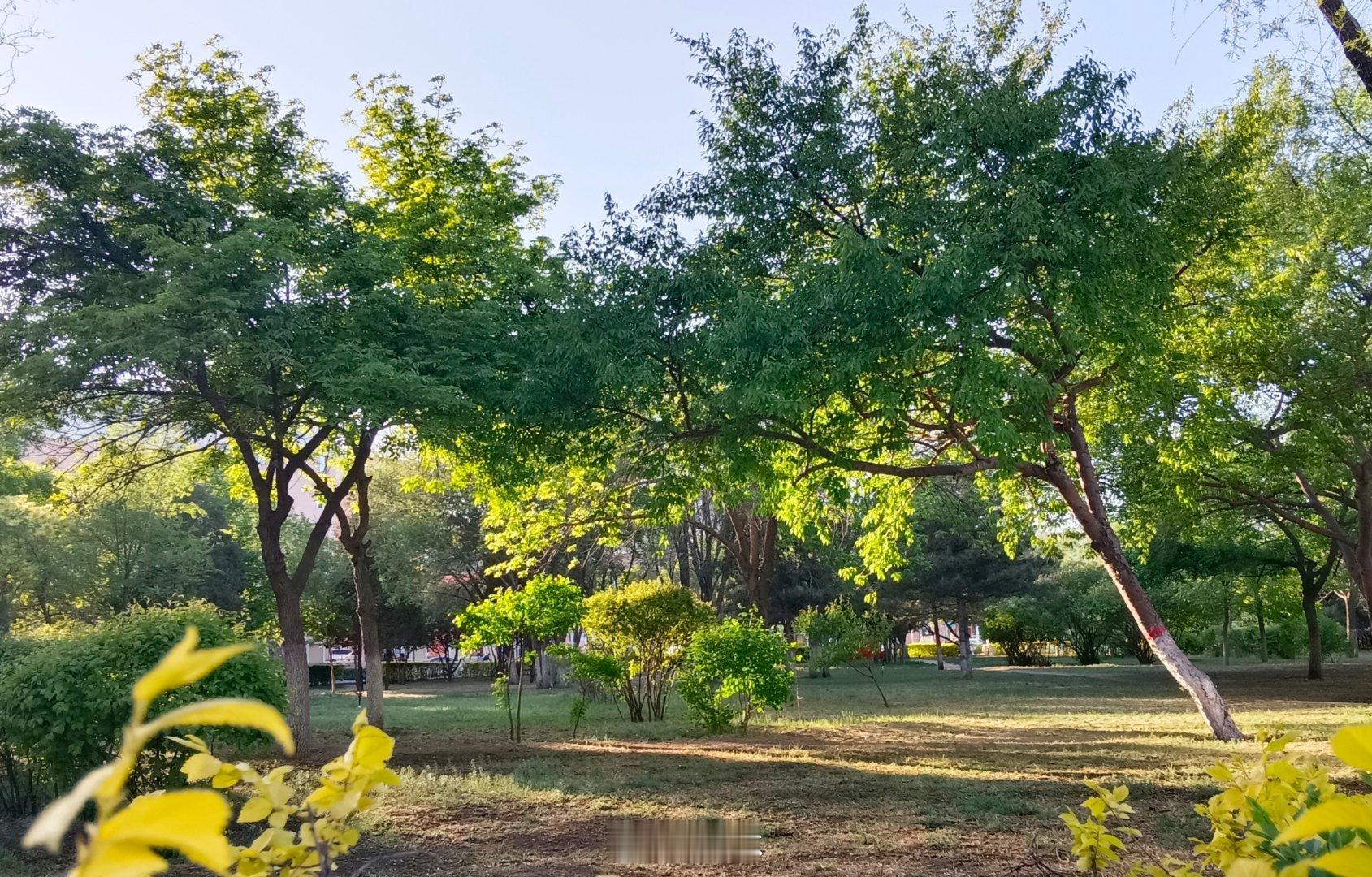 五一节我总算也出来门了，看到了大自然的景观。好吧，其实是距离我家不远的公园，但总