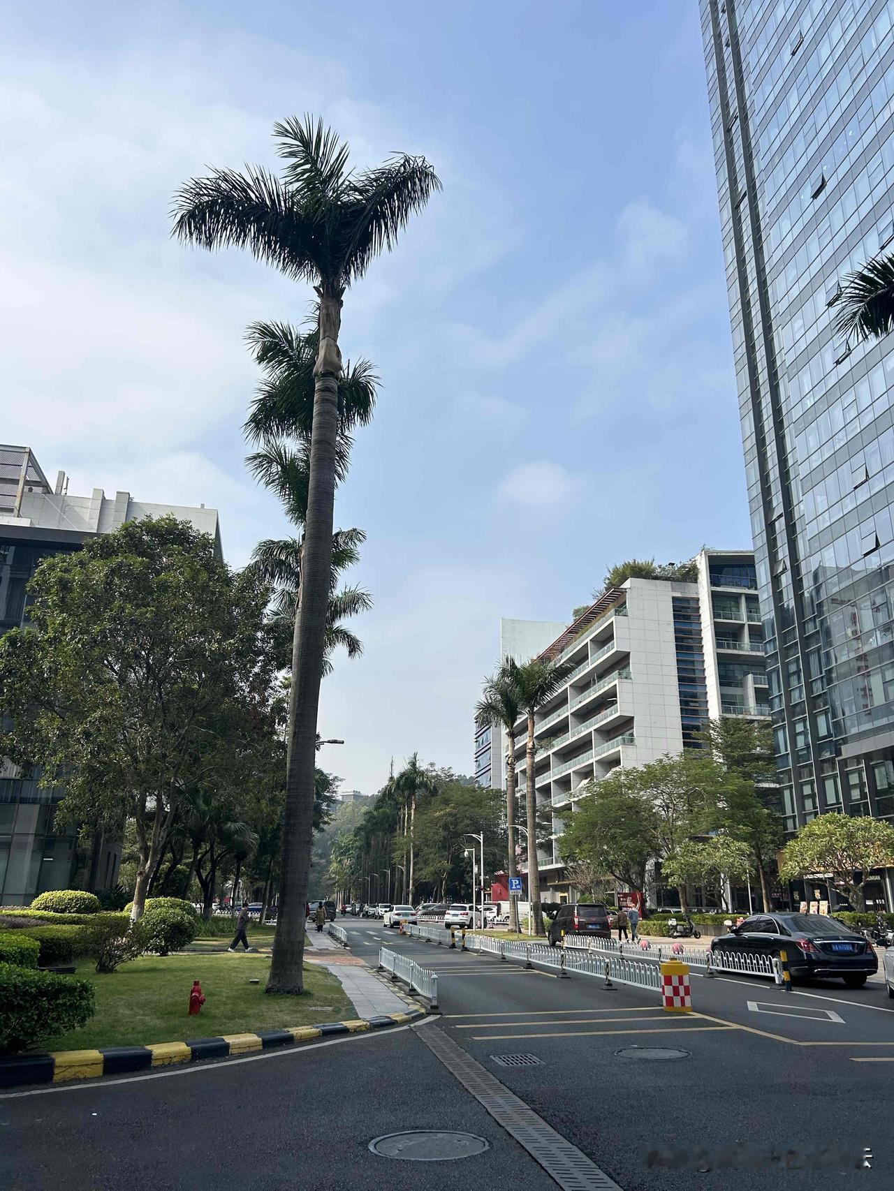 你可能发现了？

这个世界一直运行着某一个特定规律，或者说是守恒的定律，

就比