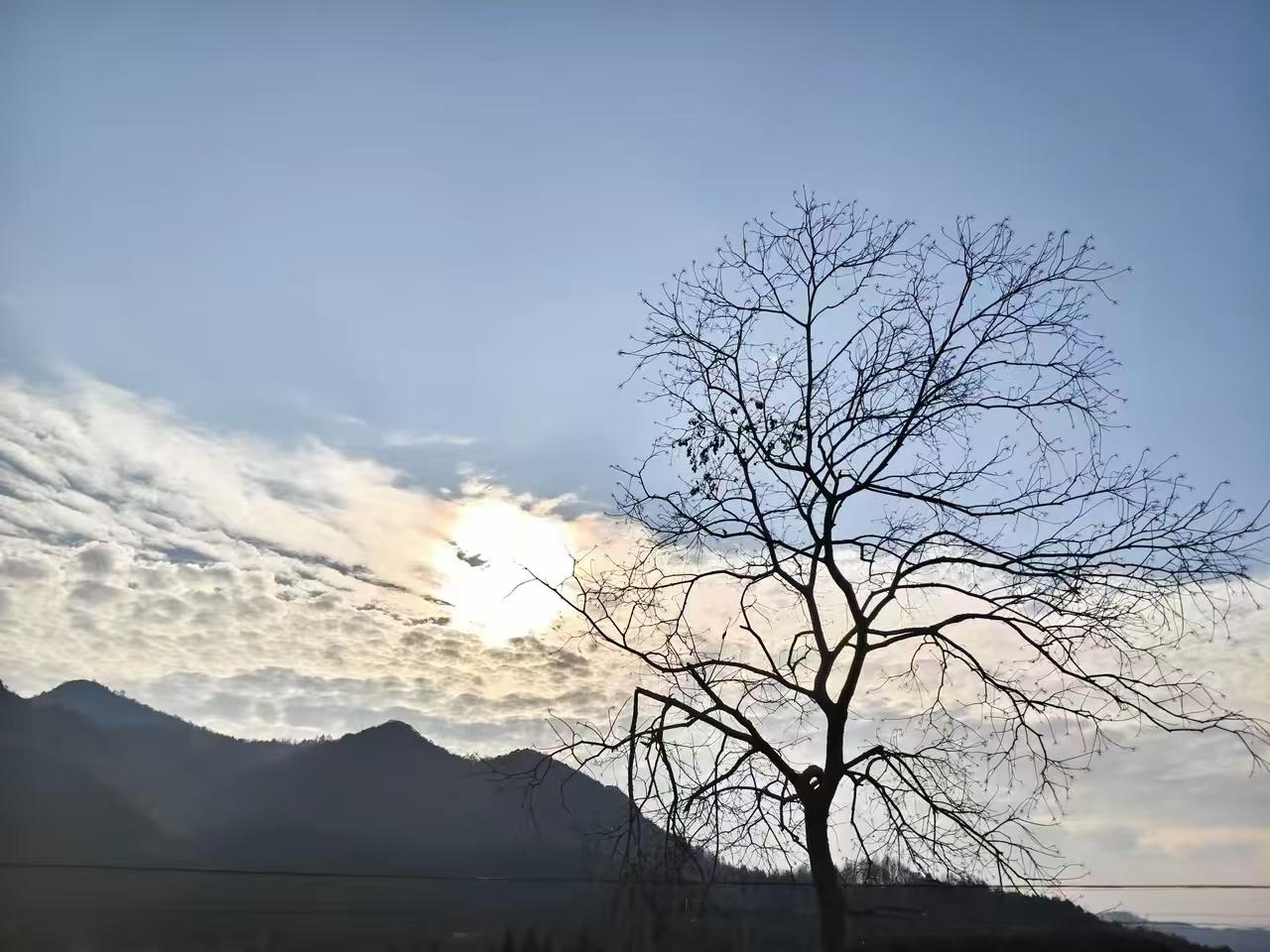 45岁以后的男人，真的对夫妻生活无欲无求了。夫妻日常见真心，我不太会做饭菜，下班