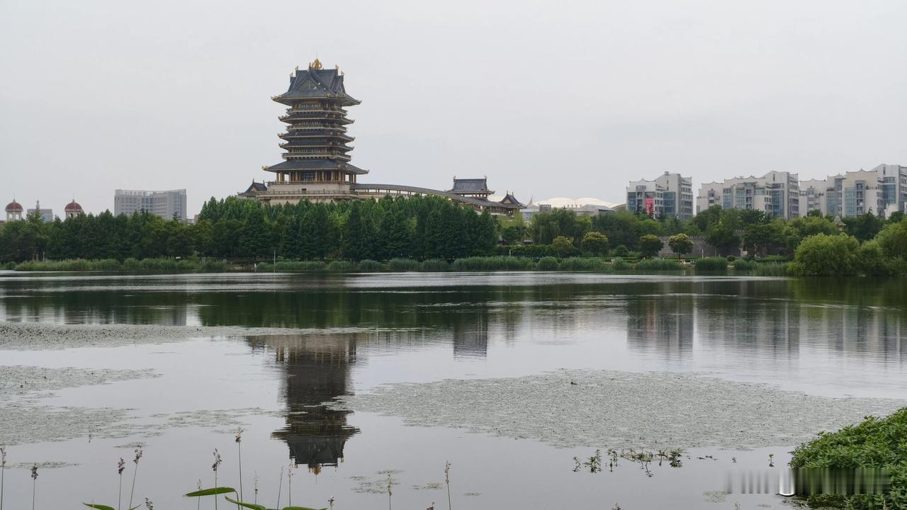 夏日生活打卡季这个美景的拍摄，你给打几分？