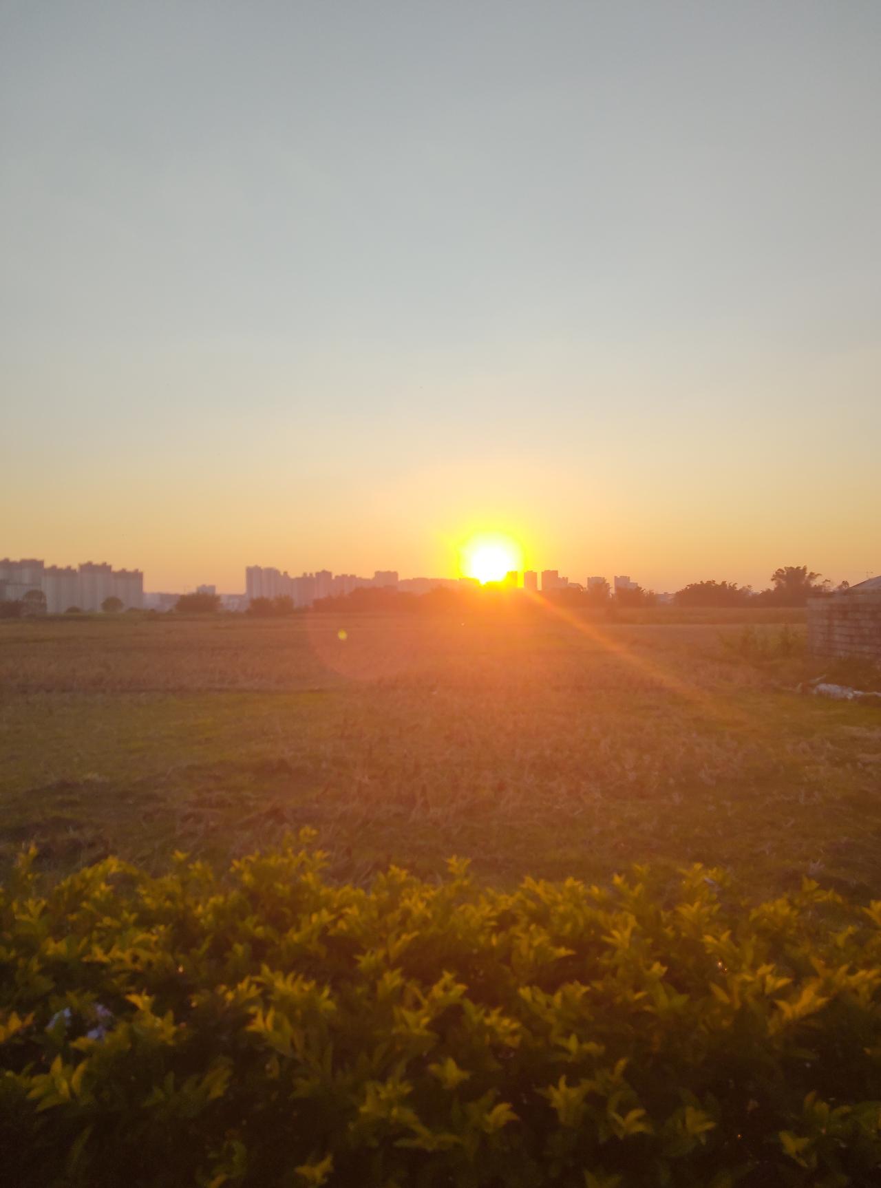 冬日生活打卡季
南方冬天的暖阳，
就是大自然藏着的温柔宝藏！
北方大雪纷飞时，