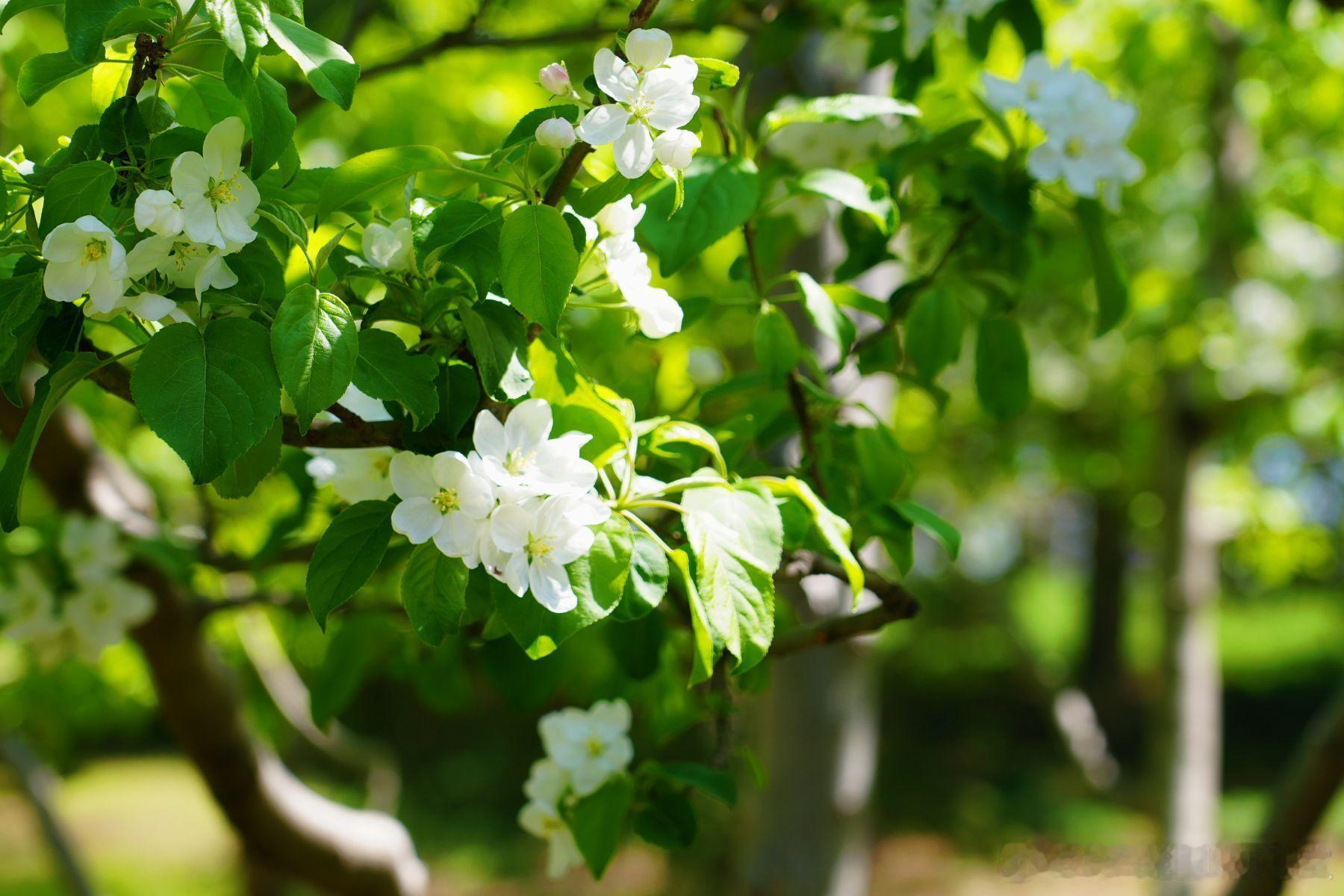 【股权干货】公司如何选对“输血”方式？看透股权与债权融资的本质。核心观点：融资与