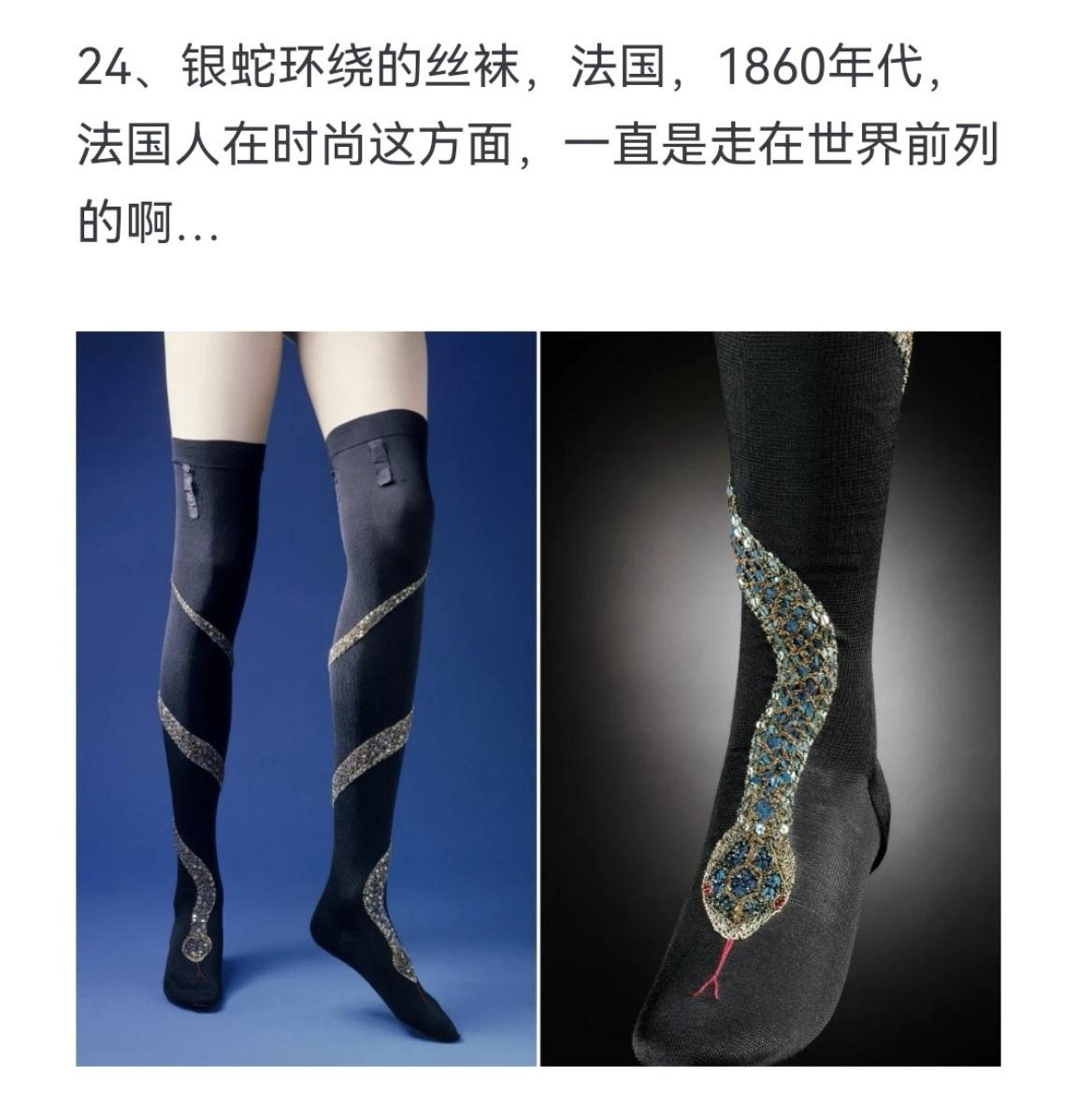 银蛇环绕的丝袜，法国，1860年代，法国人在时尚这方面，一直是走在世界前列的啊