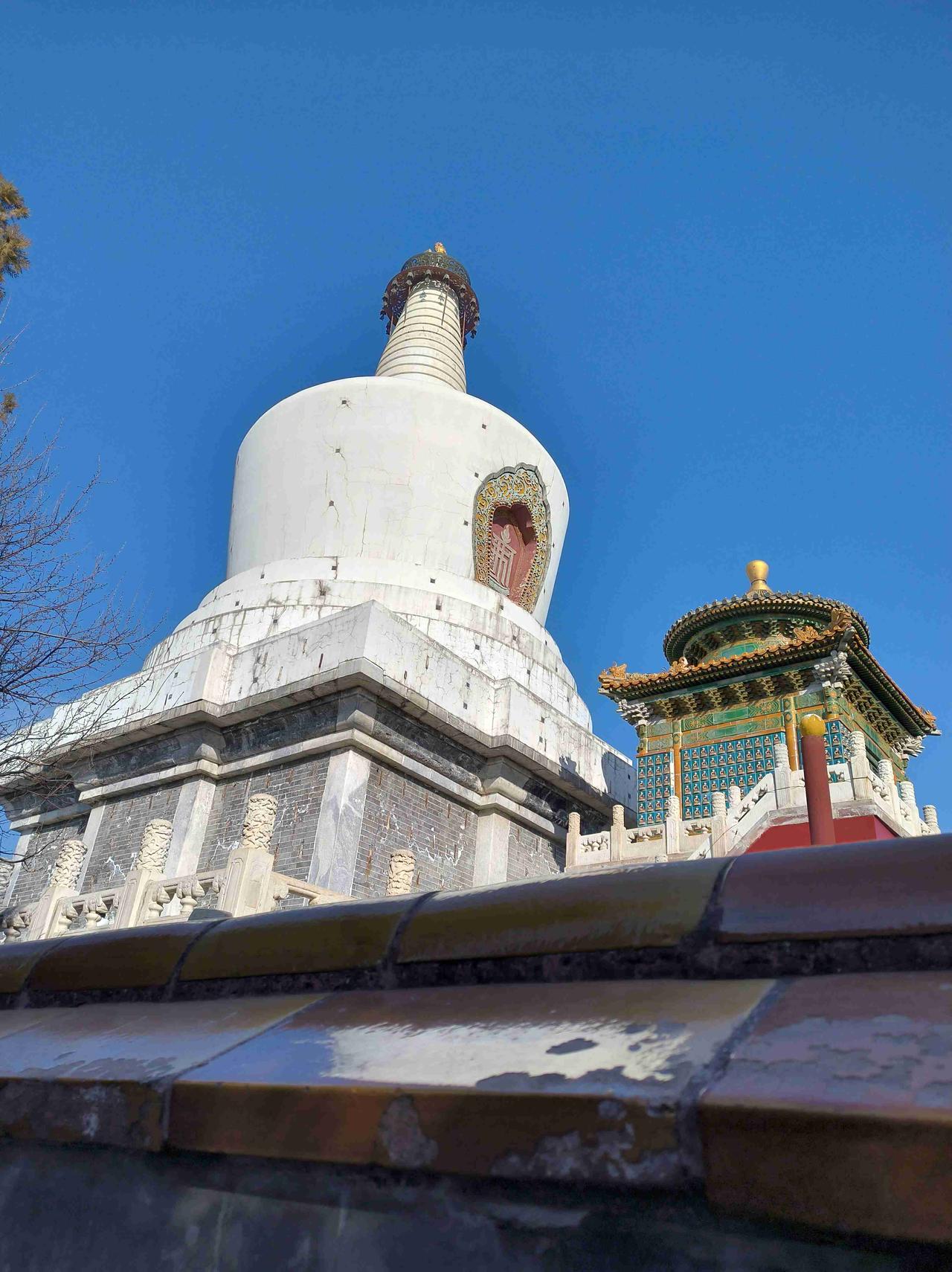 我的今日状态：🐯虎虎生威
我这里的天气：☀️晴天