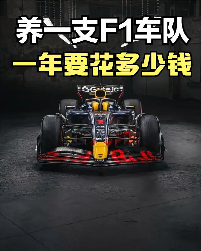 很多人都知道F1车非常贵，车手工资动不动一年就上亿，但其实养一支F1车队需要花的