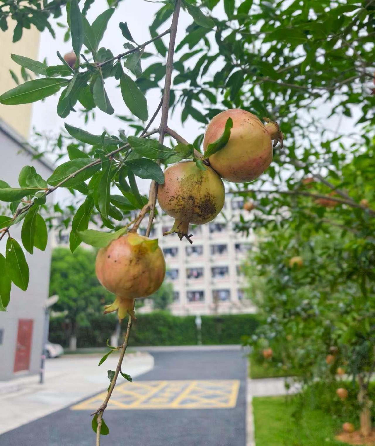大家好，我是七姐，今天我身边的一个朋友离婚了，我真的是想不明白，以前那么穷的时候