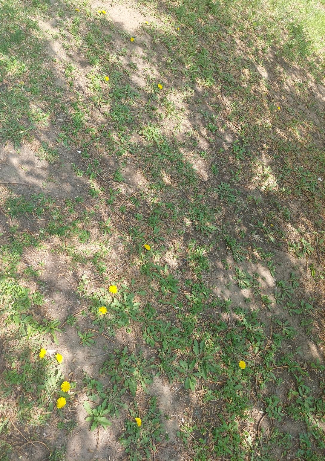 今天中午和闺蜜出去，我女儿和她女儿也是如假包换的小闺蜜。

说起孩子，都有稳定的
