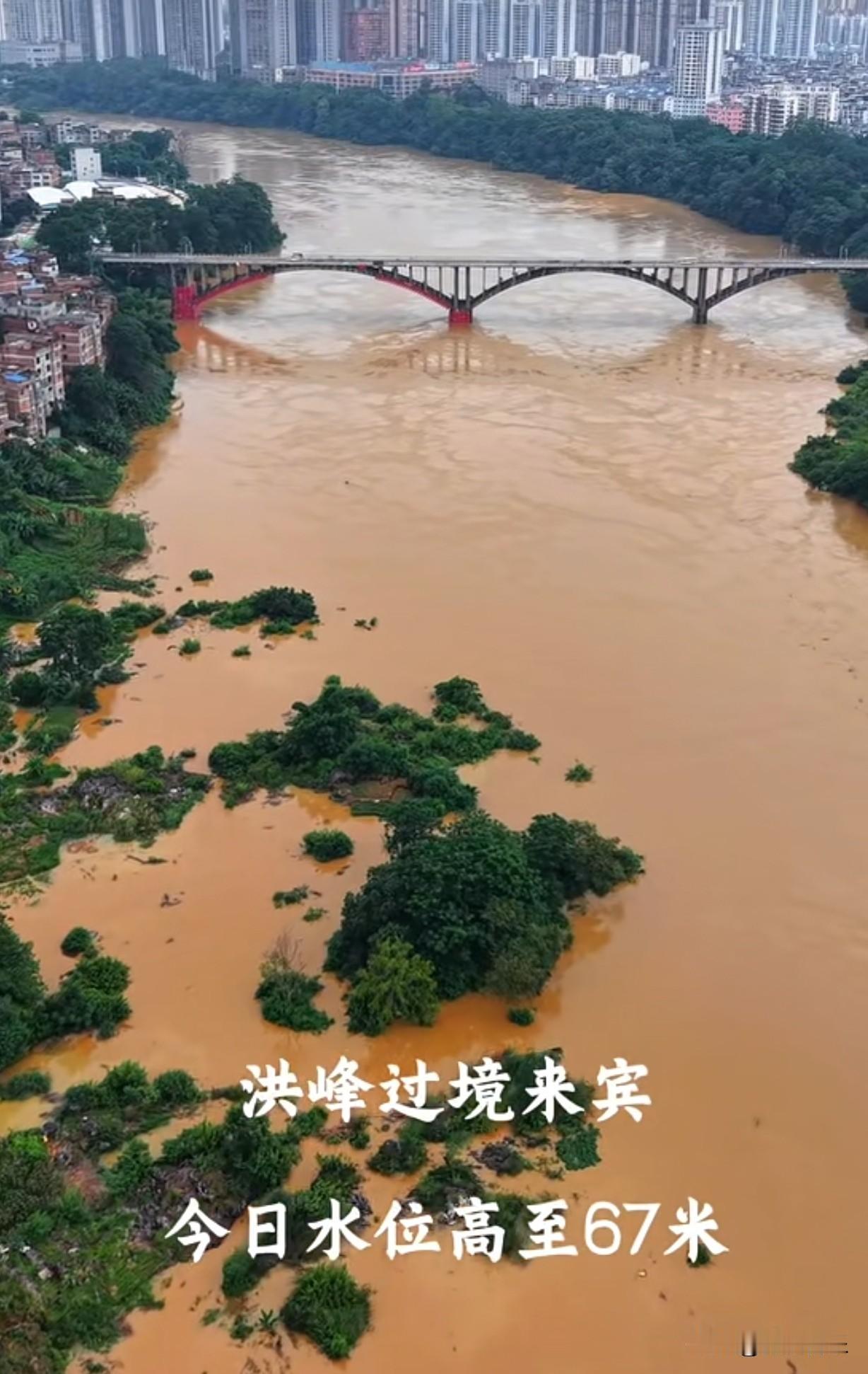 十几年一遇的涨水，来宾红水河的水终于变红了。

在河边辛辛苦苦种的玉米花生青菜，