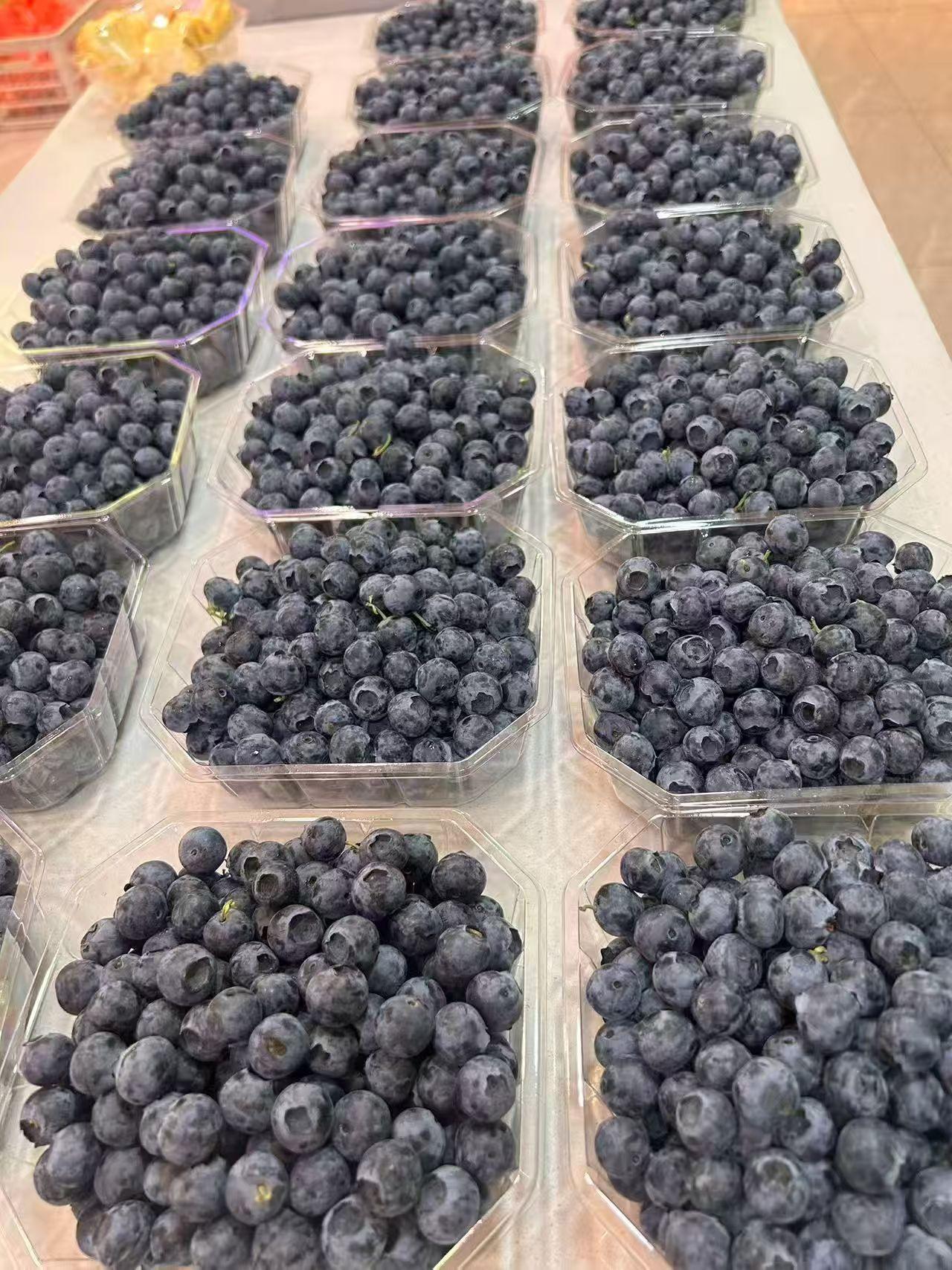 吃蓝莓拉肚子，我觉得这个应该跟个人体质有关系吧~

蓝莓这两年可谓是风头正盛，这