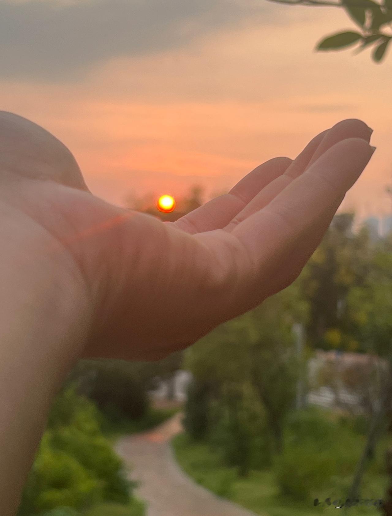 一把扫帚，能扫尽尘埃，也能扫开迷雾。佛门里常说，扫地即是扫心地——心若蒙尘，地扫