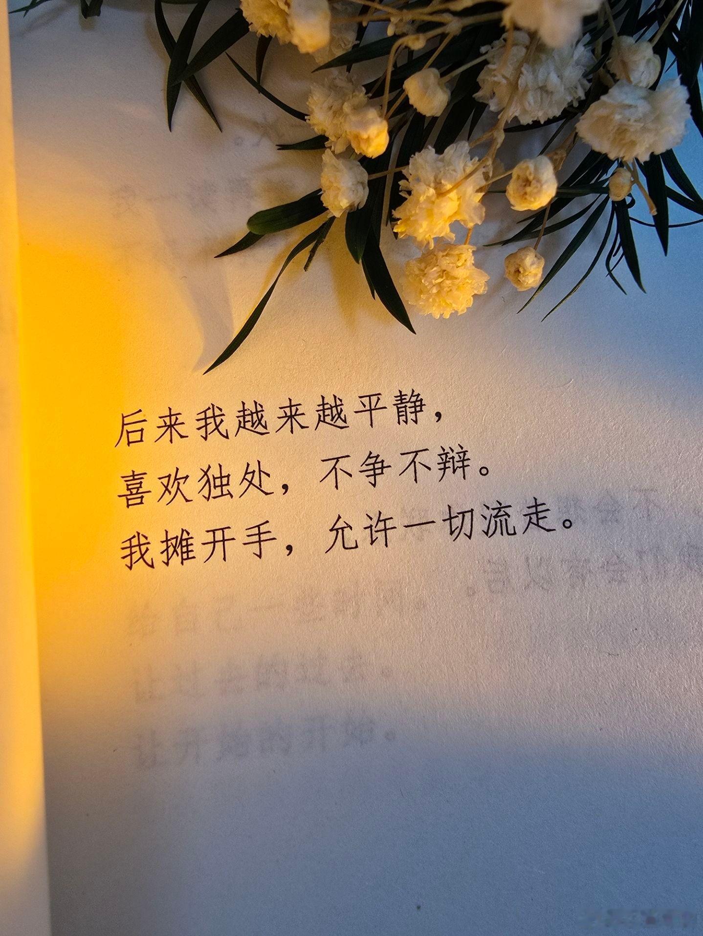 以前的我死死握住，现在的我摊开双手 👐 后来我越来越平静，喜欢独处，不争不辩。