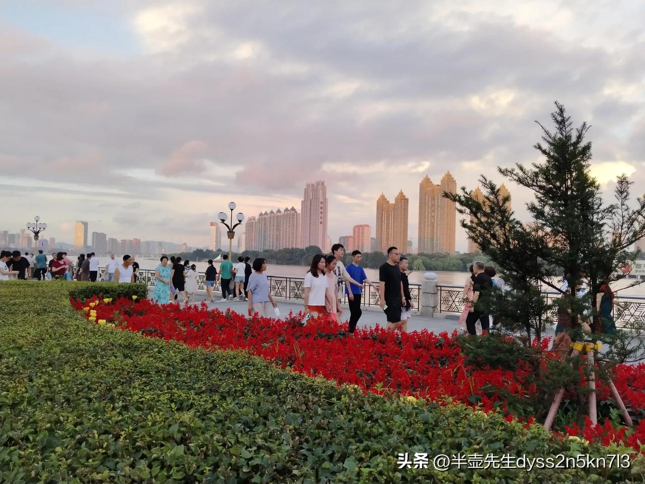 松江唱晚
用手机记录美好生活！
甲辰季夏半壶随手拍于松花江畔
2024-08-0